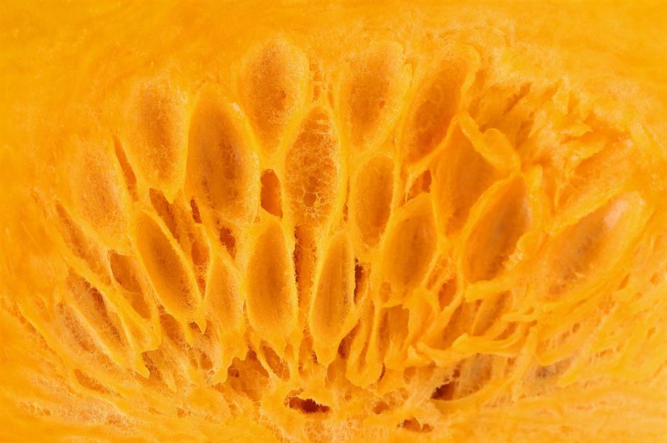 Only Those With Eagle Eyes Can Name These Zoomed‑In Food Quiz — Can You?