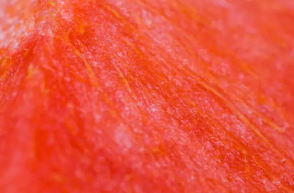 Can you identify this texture?