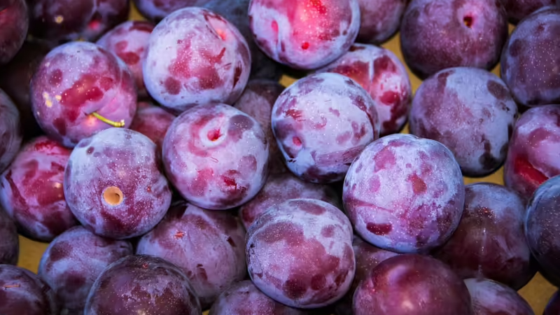 Can you identify this stone fruit instantly?