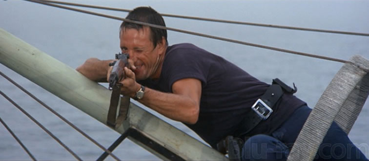 Identify the titan: Which 1970s thriller made the world fear the deep?